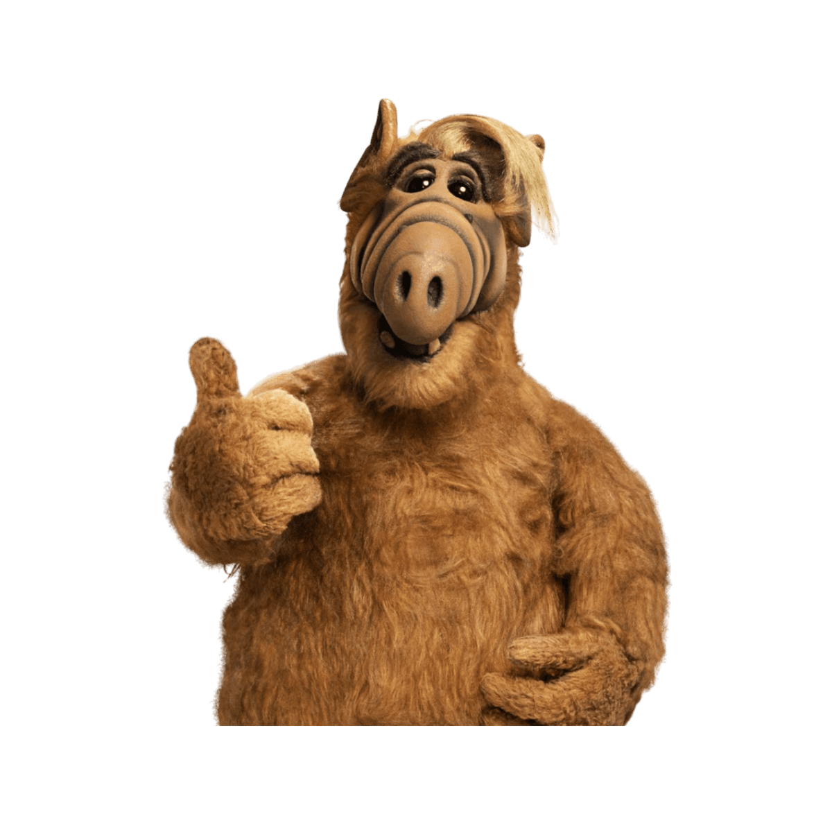 ALF.