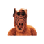 ALF.