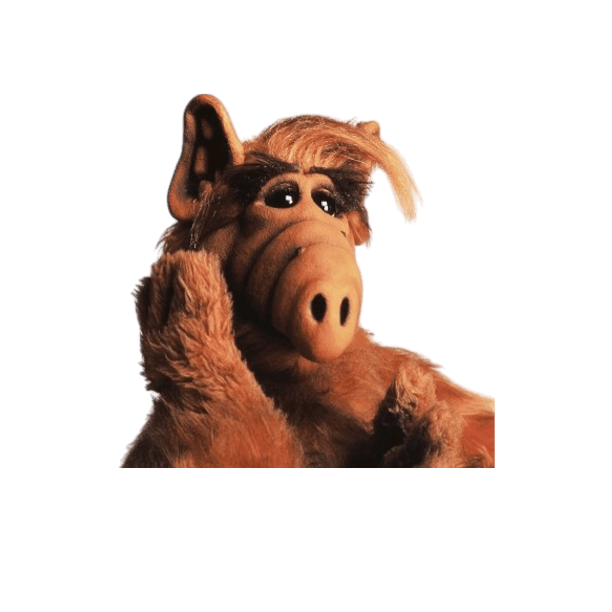 ALF.