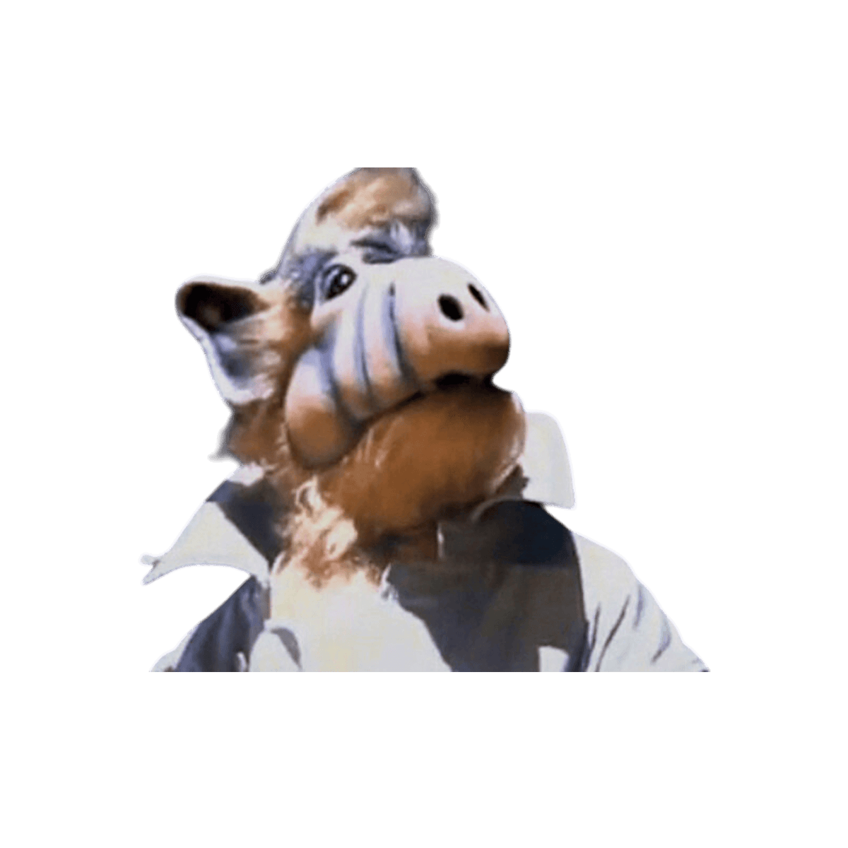 ALF.