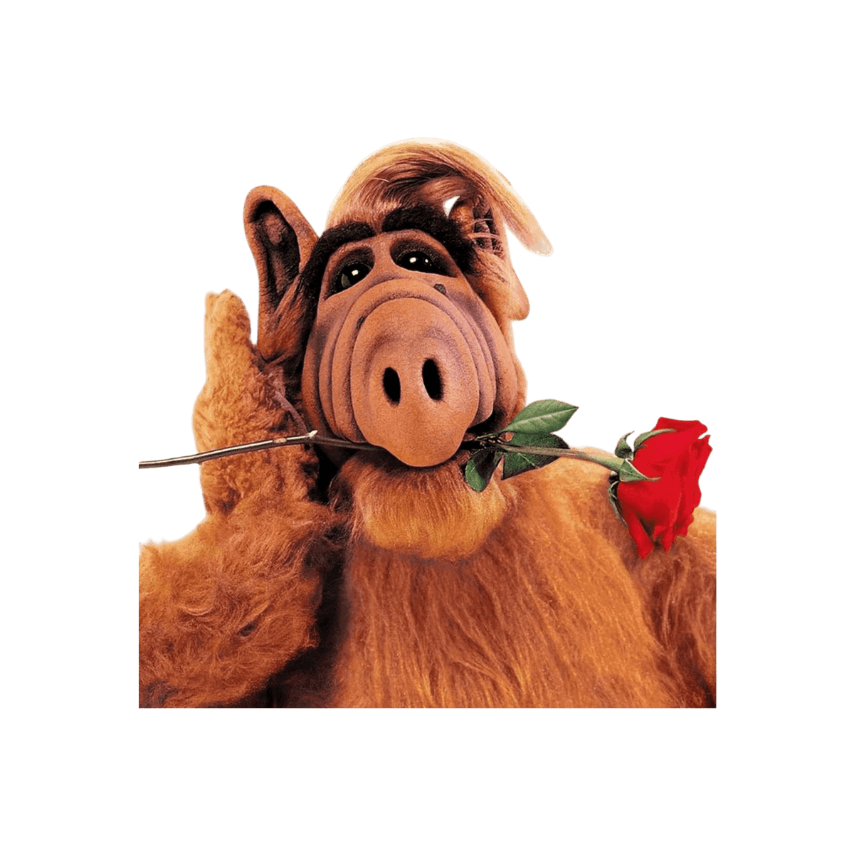 ALF.