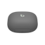 Słuchawki bezprzewodowe douszne Apple Beats Fit Pro - Szałwiowa szarość.