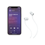 Słuchawki bezprzewodowe douszne Apple Beats Flex - Przydymiony szary.