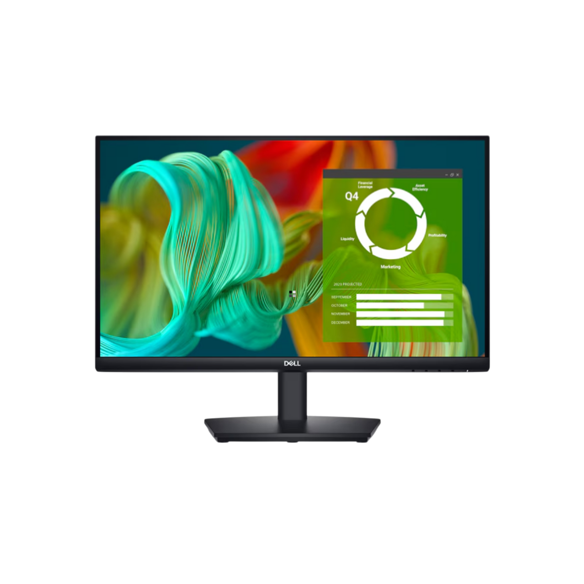 Monitor Dell E2424HS 23,8" VA Full HD.