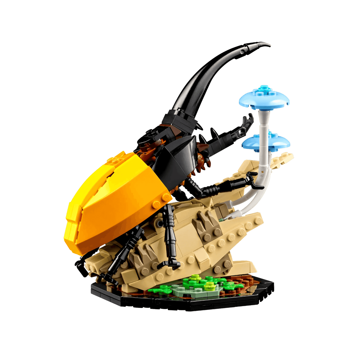 LEGO Ideas Kolekcja owadów 21342.