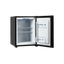 Chłodziarka wolnostojąca minibar MPM-30-MBS-06/L 53cm.