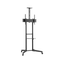Stojak podłogowy do monitora Neomounts FL50-550BL1 37" - 70" VESA 50kg.