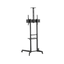 Stojak podłogowy do monitora Neomounts FL50-550BL1 37" - 70" VESA 50kg.