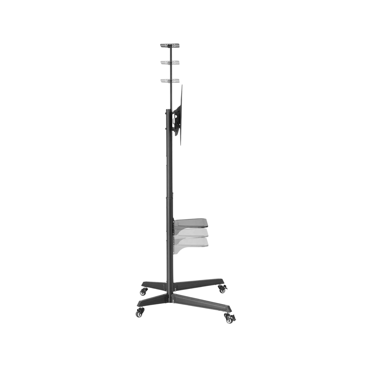 Stojak podłogowy do monitora Neomounts FL50-550BL1 37" - 70" VESA 50kg.