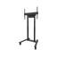 Stojak podłogowy do monitora Neomounts FL55-875BL1 55" - 100" VESA 110kg.