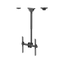 Uchwyt sufitowy na monitor Neomounts NM-C440BLACK 32" - 60" VESA 50kg.