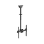 Uchwyt sufitowy na monitor Neomounts NM-C440BLACK 32" - 60" VESA 50kg.