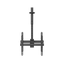 Uchwyt sufitowy na 2 monitory Neomounts NM-C440DBLACK 32" - 60" VESA 45kg.