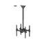 Uchwyt sufitowy na 2 monitory Neomounts NM-C440DBLACK 32" - 60" VESA 45kg.