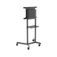Stojak podłogowy do monitora Neomounts NS-M1250BLACK 37" - 70" VESA 70kg.