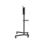 Stojak podłogowy do monitora Neomounts NS-M1250BLACK 37" - 70" VESA 70kg.