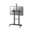 Stojak podłogowy do monitora Neomounts PLASMA-M1950E 60" - 100" VESA 100kg.