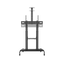 Stojak podłogowy do monitora Neomounts PLASMA-M1950E 60" - 100" VESA 100kg.