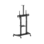 Stojak podłogowy do monitora Neomounts PLASMA-M1950E 60" - 100" VESA 100kg.