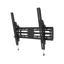 Uchwyt ścienny do TV Neomounts WL35S-950BL19 55" - 110" VESA 160kg.
