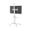Stojak podłogowy do TV Techly ICA-TR48W 37 – 70" VESA 70kg Biały.