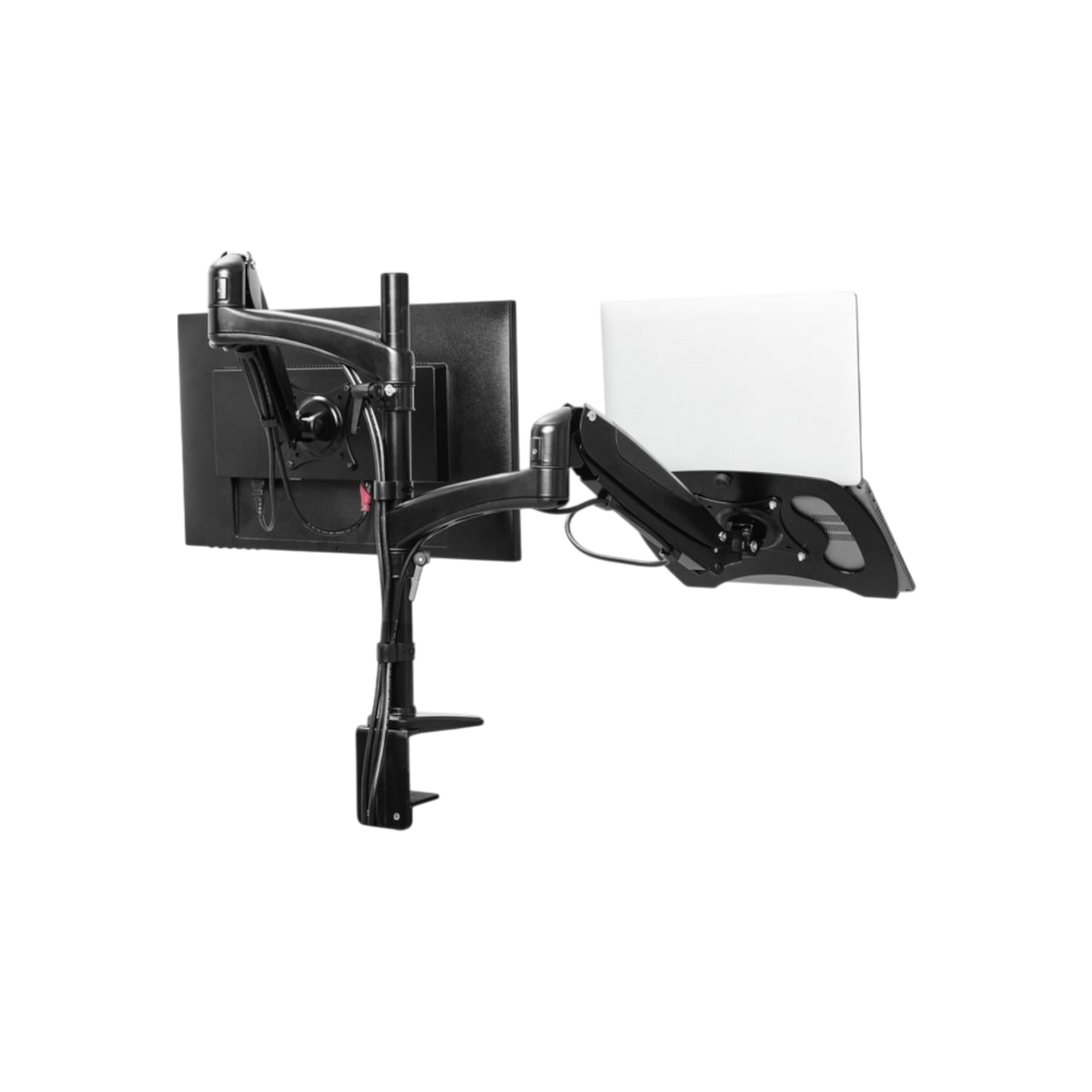 Uchwyt biurkowy na monitor i laptop Trust Mara do 32" 16kg.