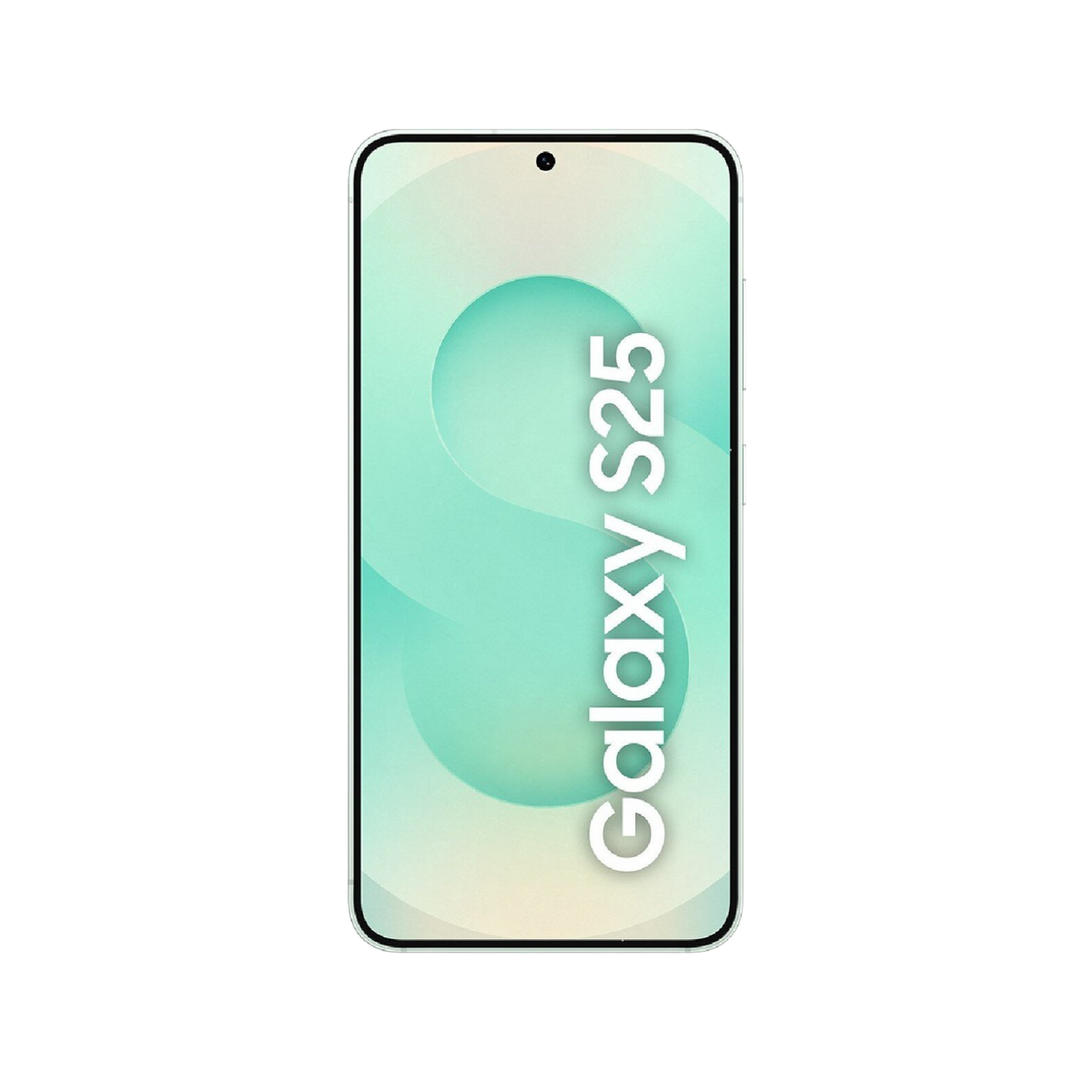 Smartfon Samsung Galaxy S25 5G.