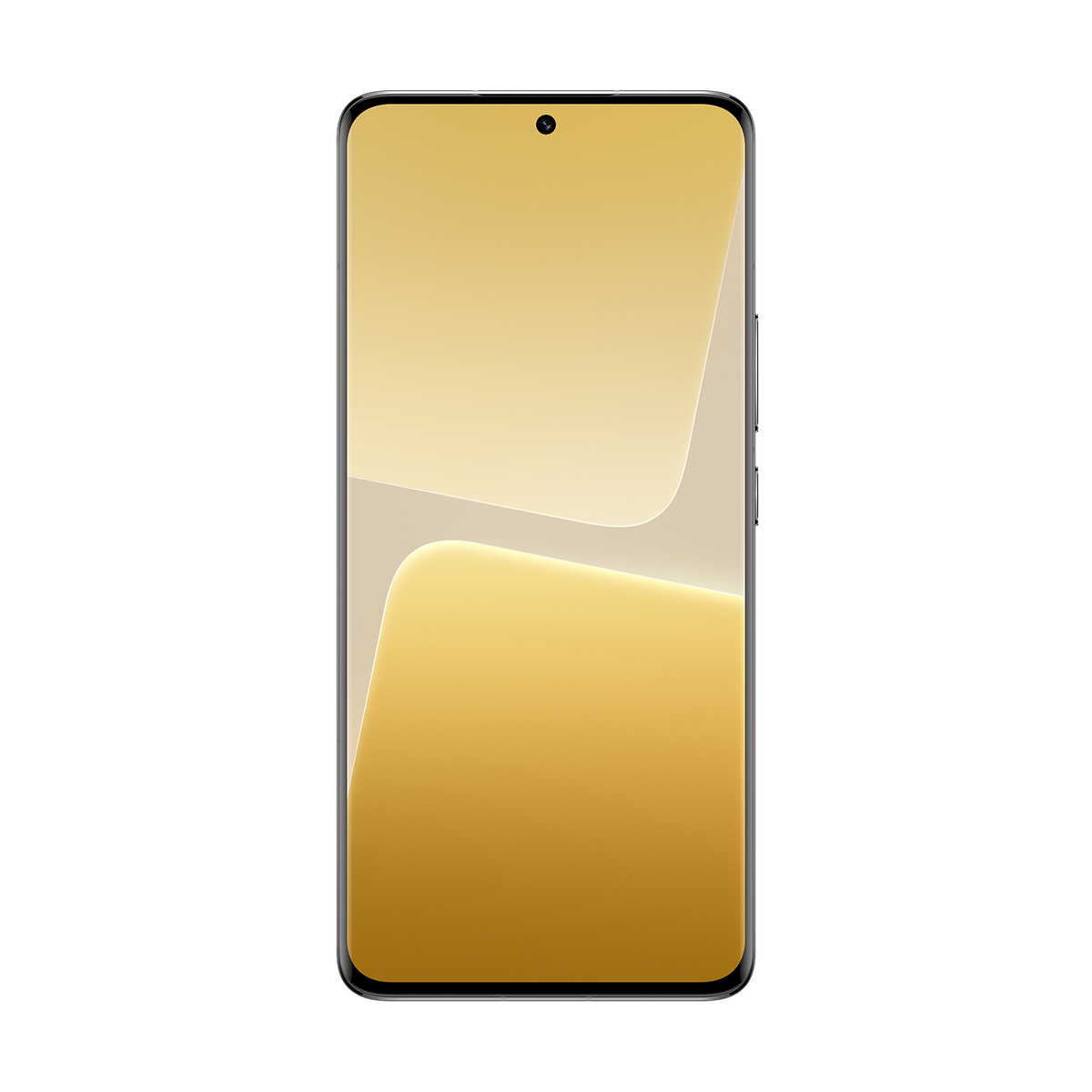 Smartfon Xiaomi 13 Pro.